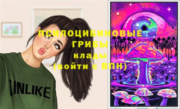 марки lsd Пересвет