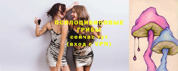 метадон Гусь-Хрустальный