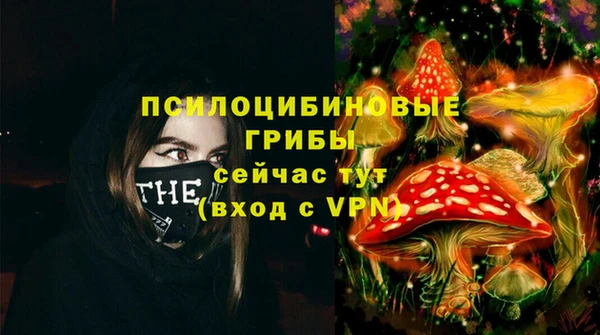 марки lsd Пересвет