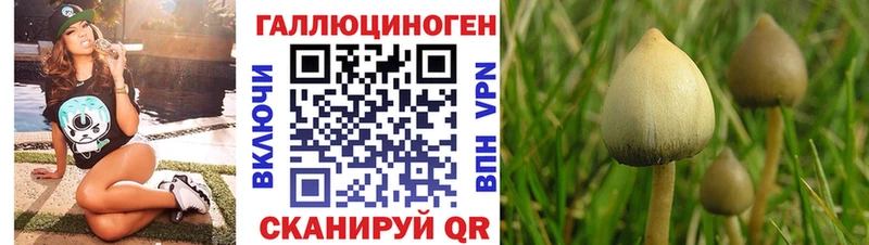 Галлюциногенные грибы мицелий  Поронайск 